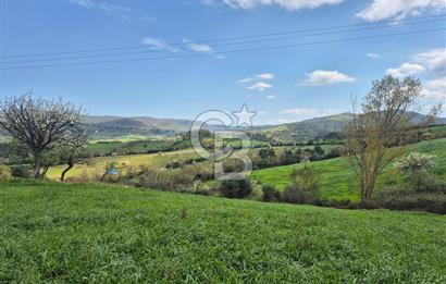 ÇANAKKALE ÇAN DONDURMA'DA KÖYİÇİ SATILIK ARSA 4175M2