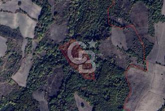 CB BLACK'TAN MUSTAFAKEMALPAŞA SATILIK TARLA - 4 - 345104