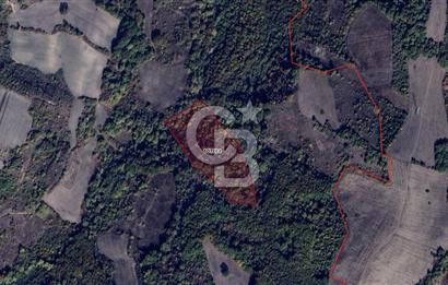 CB BLACK'TAN MUSTAFAKEMALPAŞA SATILIK TARLA