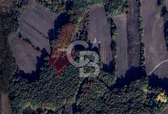 CB BLACK'TAN MUSTAFAKEMALPAŞA SATILIK TARLA - 3 - 345109