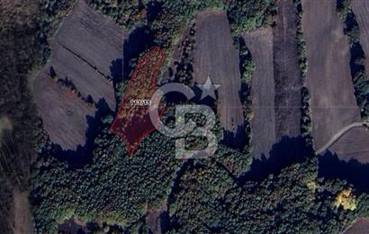 CB BLACK'TAN MUSTAFAKEMALPAŞA SATILIK TARLA