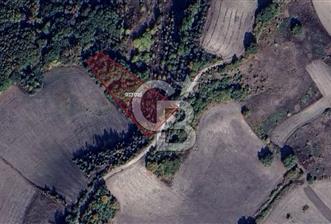 CB BLACK'TAN MUSTAFAKEMALPAŞA SATILIK TARLA - 2 - 345112