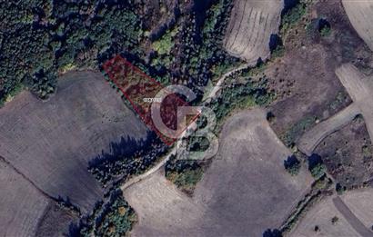 CB BLACK'TAN MUSTAFAKEMALPAŞA SATILIK TARLA