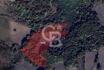 CB BLACK'TAN SATILIK KEMALPAŞA TARLA - 1 - 345114