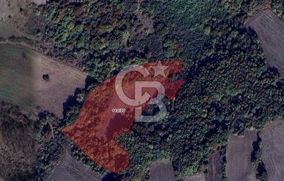 CB BLACK'TAN SATILIK KEMALPAŞA TARLA