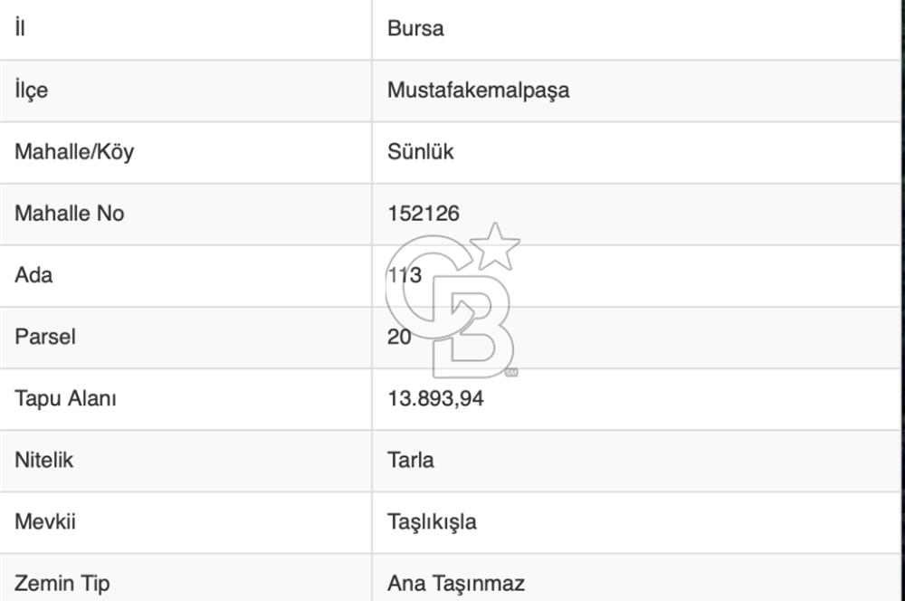 CB BLACK'TAN SATILIK KEMALPAŞA TARLA