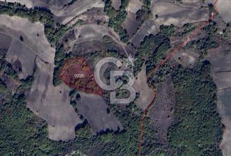 CB BLACK'TAN MUSTAFAKEMALPAŞA SATILIK TARLA - 12 - 345117