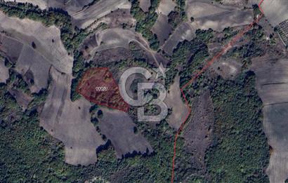 CB BLACK'TAN MUSTAFAKEMALPAŞA SATILIK TARLA