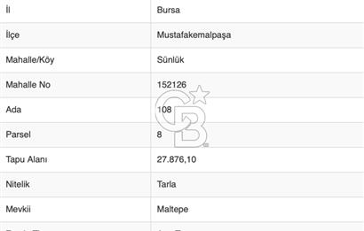 CB BLACK'TAN MUSTAFAKEMALPAŞA SATILIK TARLA