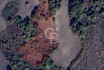 CB BLACK'TAN MUSTAFAKEMALPAŞA SATILIK TARLA - 10 - 345130