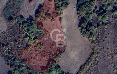 CB BLACK'TAN MUSTAFAKEMALPAŞA SATILIK TARLA