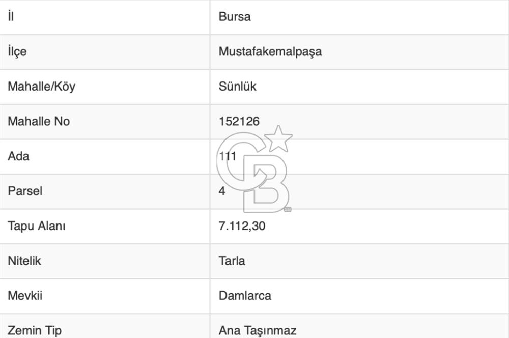 CB BLACK'TAN MUSTAFAKEMALPAŞA SATILIK TARLA
