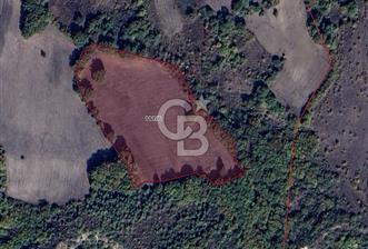 CB BLACK'TAN MUSTAFAKEMALPAŞA SATILIK TARLA - 9 - 345135