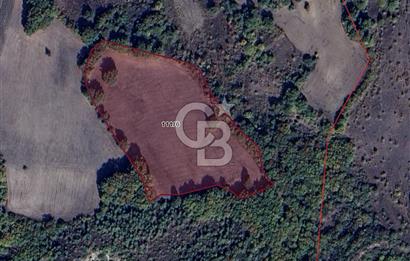 CB BLACK'TAN MUSTAFAKEMALPAŞA SATILIK TARLA