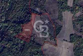 CB BLACK'TAN MUSTAFAKEMALPAŞA SATILIK TARLA - 8 - 345138