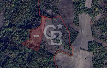 CB BLACK'TAN MUSTAFAKEMALPAŞA SATILIK TARLA