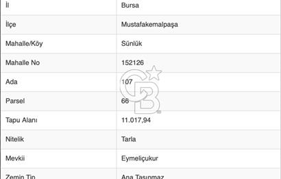 CB BLACK'TAN MUSTAFAKEMALPAŞA SATILIK TARLA
