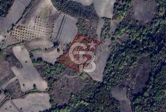 CB BLACK'TAN MUSTAFAKEMALPAŞA SATILIK TARLA - 7 - 345140