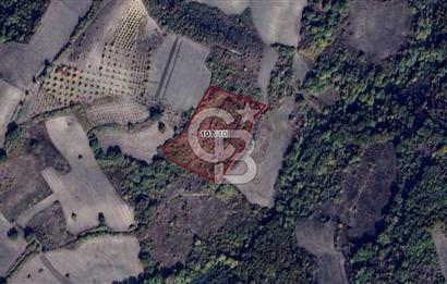 CB BLACK'TAN MUSTAFAKEMALPAŞA SATILIK TARLA