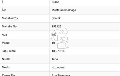 CB BLACK'TAN MUSTAFAKEMALPAŞA SATILIK TARLA