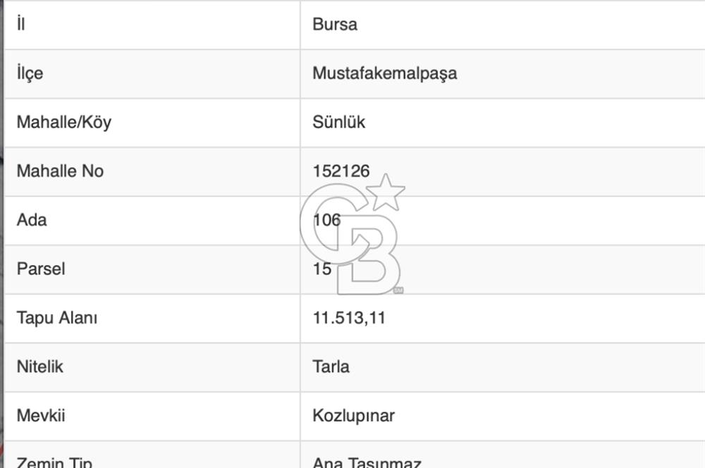 CB BLACK'TAN MUSTAFAKEMALPAŞA SATILIK TARLA