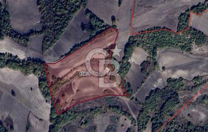 CB BLACK'TAN MUSTAFAKEMALPAŞA SATILIK TARLA