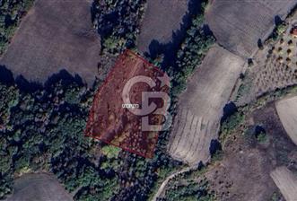 CB BLACK'TAN MUSTAFAKEMALPAŞA SATILIK TARLA - 4 - 345151