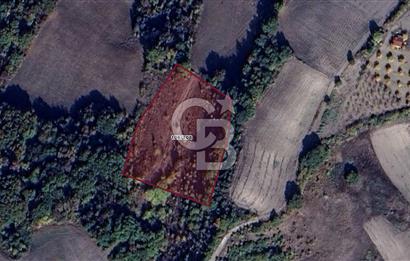 CB BLACK'TAN MUSTAFAKEMALPAŞA SATILIK TARLA