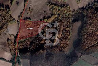 CB BLACK'TAN MUSTAFAKEMALPAŞA SATILIK TARLA - 3 - 345154