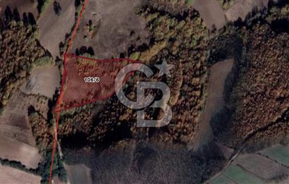 CB BLACK'TAN MUSTAFAKEMALPAŞA SATILIK TARLA