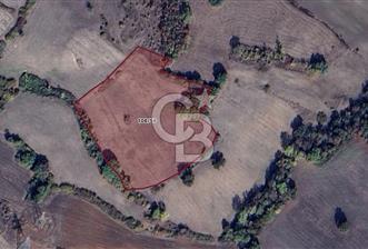 CB BLACK'TAN MUSTAFAKEMALPAŞA SATILIK TARLA - 2 - 345157