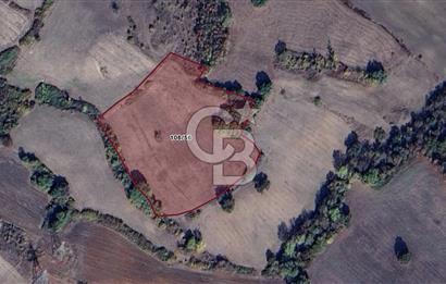 CB BLACK'TAN MUSTAFAKEMALPAŞA SATILIK TARLA