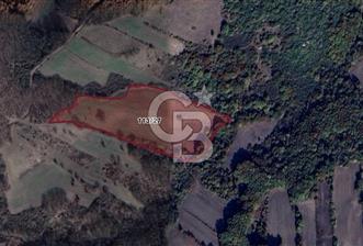 CB BLACK'TAN MUSTAFAKEMALPAŞA TARLA - 12 - 345160