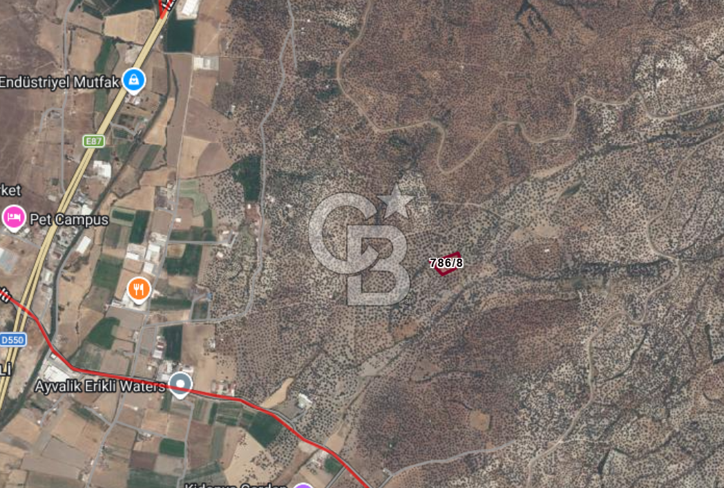 AYVALIK MERKEZE 3 KM YOLU OLAN VERİMLİ ZEYTİNLİK