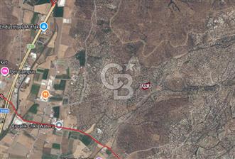 AYVALIK MERKEZE 3 KM YOLU OLAN VERİMLİ ZEYTİNLİK - 2 - 345125