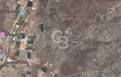 AYVALIK MERKEZE 3 KM YOLU OLAN VERİMLİ ZEYTİNLİK