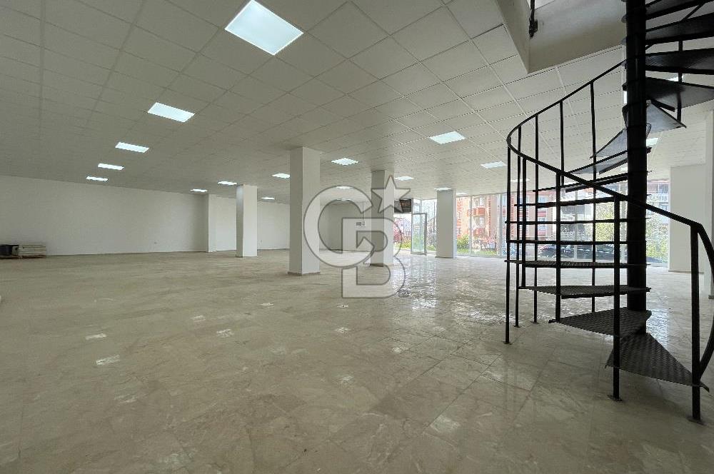 BAŞİSKELE BARBAROS MAH. 650 m² KİRALIK DÜKKAN ( VİTRİN + DEPO )