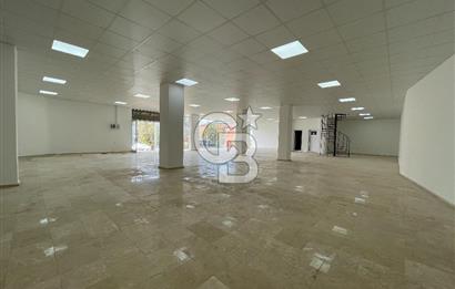 BAŞİSKELE BARBAROS MAH. 650 m² KİRALIK DÜKKAN ( VİTRİN + DEPO )