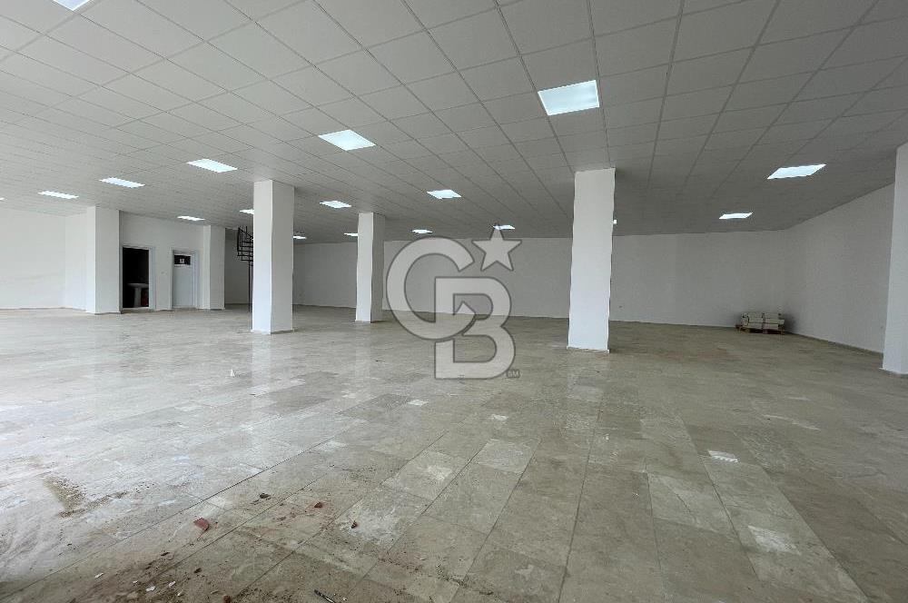 BAŞİSKELE BARBAROS MAH. 650 m² KİRALIK DÜKKAN ( VİTRİN + DEPO )