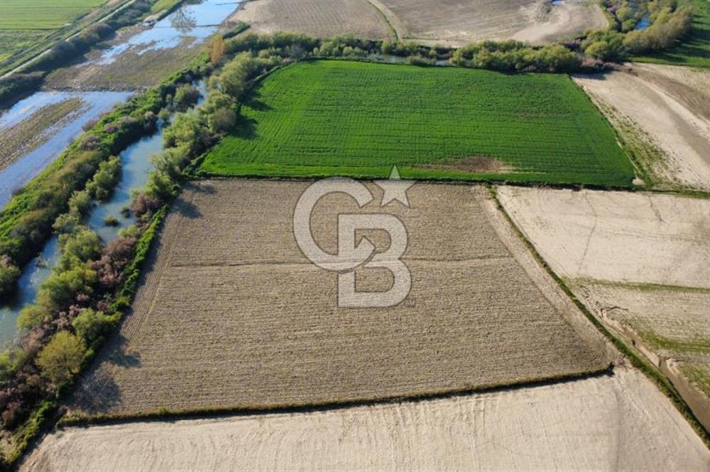 ÇANAKKALE MERKEZ KALAFAT KÖYÜNDE SATILIK 5.000 m2 ARAZİ