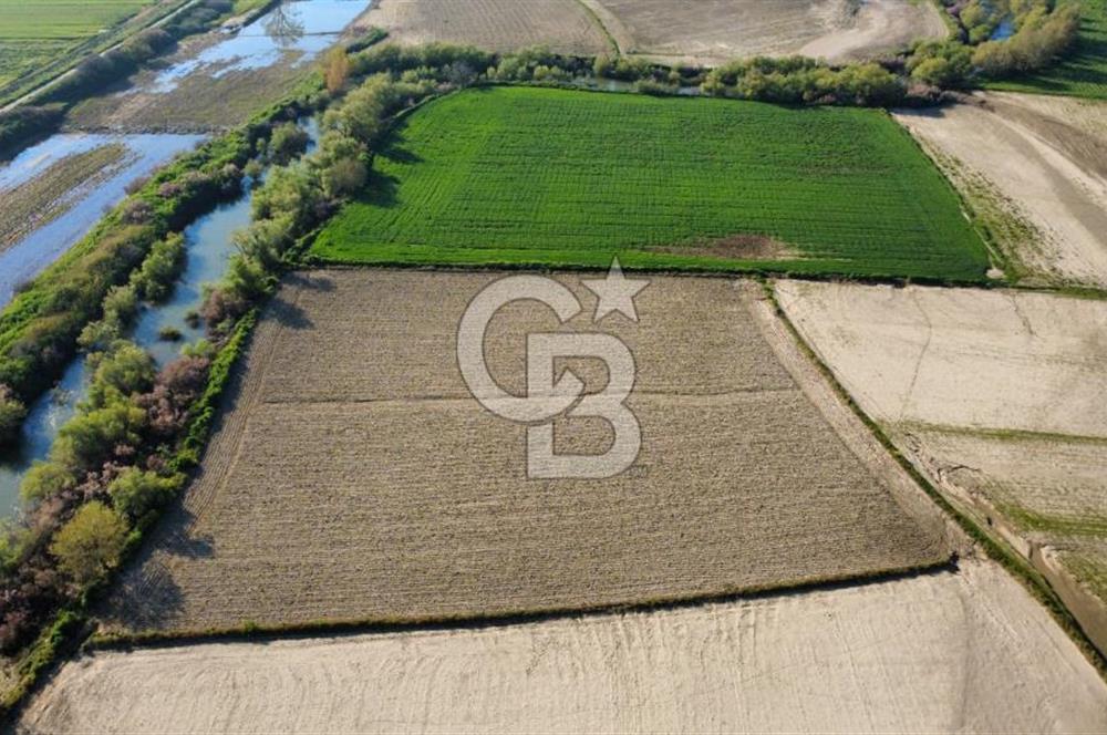 ÇANAKKALE MERKEZ KALAFAT KÖYÜNDE SATILIK 5.000 m2 ARAZİ