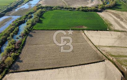 ÇANAKKALE MERKEZ KALAFAT KÖYÜNDE SATILIK 5.000 m2 ARAZİ