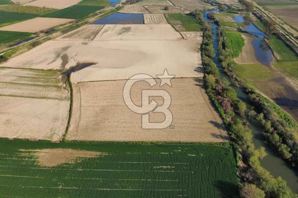 ÇANAKKALE MERKEZ KALAFAT KÖYÜNDE SATILIK 5.000 m2 ARAZİ