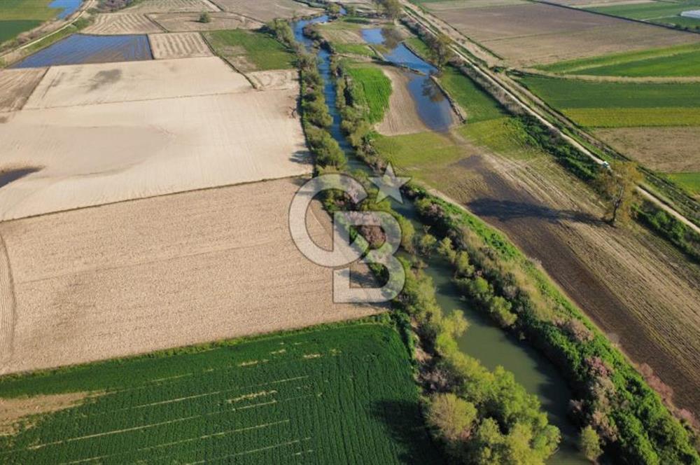 ÇANAKKALE MERKEZ KALAFAT KÖYÜNDE SATILIK 5.000 m2 ARAZİ