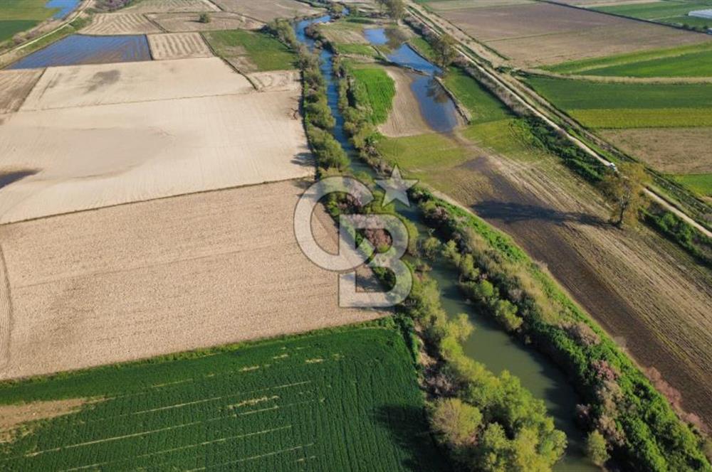 ÇANAKKALE MERKEZ KALAFAT KÖYÜNDE SATILIK 5.000 m2 ARAZİ