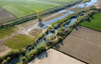 ÇANAKKALE MERKEZ KALAFAT KÖYÜNDE SATILIK 5.000 m2 ARAZİ