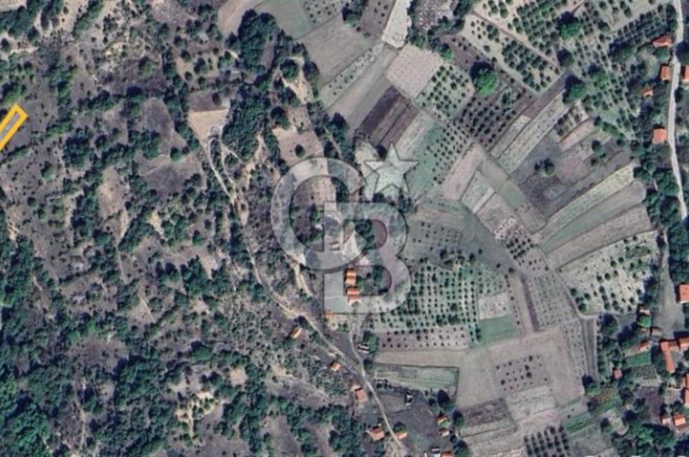 Başak'ta Uygun Fiyatlı Köy Merkezine Yakın Satılık Tarla