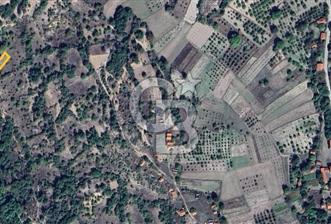 Başak'ta Yatırımlık Satılık 2720 m2 Tarla - 9 - 345139