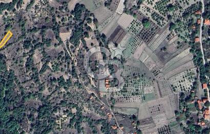 Başak'ta Yatırımlık Satılık 2720 m2 Tarla