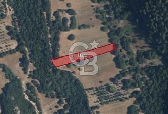 Bursa Başak'ta Satılık 2215 m2 Fırsat Tarla - 7 - 345129